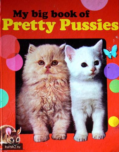 my big book of pretty pussies